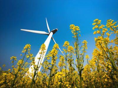 Украинская ветроэнергетическая ассоциация предлагает не устанавливать price-cap на рынке электроэнергии - gordonua.com - Украина - Тарифы