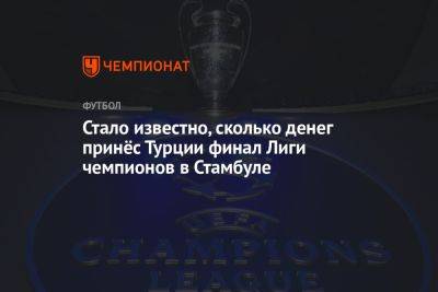 Стало известно, сколько денег принёс Турции финал Лиги чемпионов в Стамбуле - championat.com - Англия - Турция - Копенгаген - Стамбул