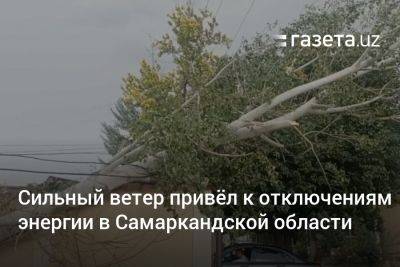 Сильный ветер привёл к отключениям энергии в Самаркандской области - gazeta.uz - Узбекистан