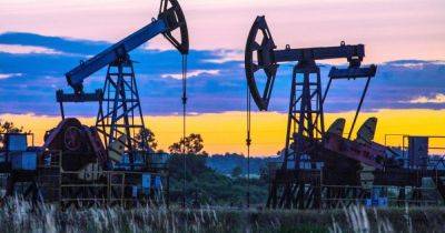 За два года теневая доля в нефтегазовой отрасли уменьшилась более чем вдвое, - исследование - dsnews.ua - Украина