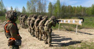 В Украине приняли на вооружение новые бронежилеты и шлемы: что известно - focus.ua - Украина
