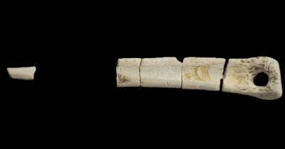 Древние артефакты железного века: на родине одеяла нашли доказательства производств ткани - focus.ua - Украина - Англия - Находка - Великобритания
