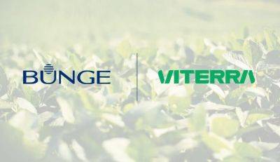 Крупные зерновые трейдеры Bunge и Viterra объявили о слиянии. Стоимость сделки составляет $8,2 миллиарда - minfin.com.ua - Украина - Канада - Харьков - Аргентина