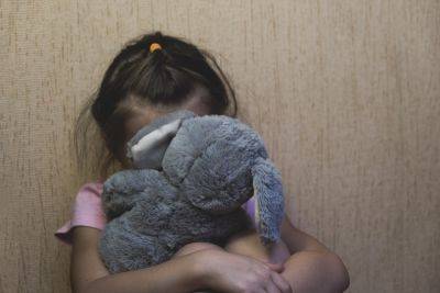 Прокуратура провела слушание по делу об изнасиловании двухлетней девочки в Бейт-Шемеше - news.israelinfo.co.il