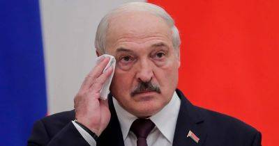 Александр Лукашенко - Виктория Нуланд - Карманный диктатор Лукашенко пофантазировал о том, как "послал на хрен" украинскую делегацию - dsnews.ua - Россия - США - Украина - Белоруссия - Стамбул