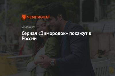 Сериал «Зимородок» покажут в России: это новый турецкий хит - championat.com - Россия