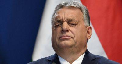 Джеймс Риш - Давление на Будапешт: в Сенате США заблокировали продажу HIMARS для Венгрии - focus.ua - США - Украина - Венгрия - Швеция - Washington - Будапешт
