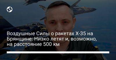 Юрий Игнат - Воздушные Силы о ракетах Х-35 на Брянщине: Низко летят и, возможно, на расстояние 500 км - liga.net - Россия - Украина - Брянская обл.