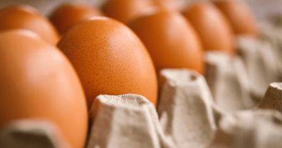 В Украине изменились цены на яйца: где купить самые дешевые - focus.ua - Украина - Киев