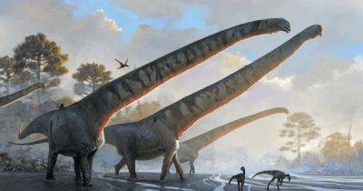Парк Юрского периода. Ученые наконец-то ответили, можем ли мы действительно воскресить динозавров - focus.ua - Украина