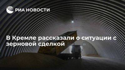 Владимир Путин - Дмитрий Песков - Песков заявил, что работа по зерновой сделке продолжается, но перспектив не видно - smartmoney.one - Россия - Украина - Турция - Одесса - Стамбул - Тольятти