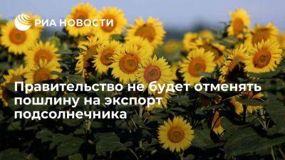 Виктория Абрамченко - Викторий Абрамченко - Правительство не будет отменять пошлину на экспорт подсолнечника после 31 августа - smartmoney.one - Россия