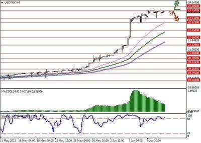 Реджеп Тайип Эрдоган - USD/TRY: Центральный банк Турецкой Республики возглавила Хафизе Гайе Эркан - smartmoney.one - США - Турция