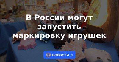 Антонина Цицулина - Lego - В России могут запустить маркировку игрушек - smartmoney.one - Россия - Китай