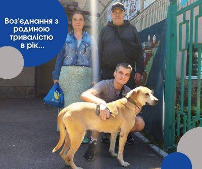В Харькове спустя год поисков хозяева нашли собаку, сбежавшую от обстрелов - objectiv.tv - Россия - Харьков
