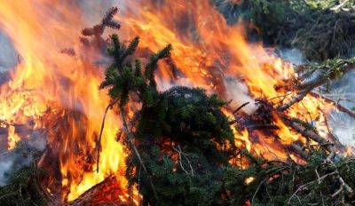 В Латвии полыхают лесные пожары: за сутки огонь уничтожил 21 гектар - rus.delfi.lv - Латвия