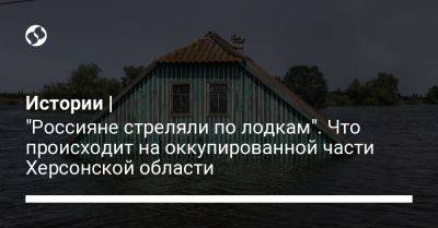 Истории | "Россияне стреляли по лодкам". Что происходит на оккупированной части Херсонской области - liga.net - Украина - Германия - Херсонская обл.