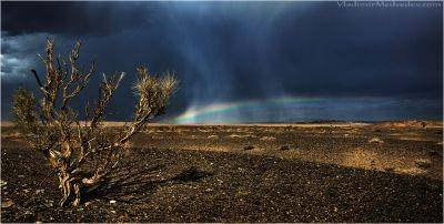 ОАЭ успешно испытали технологию искусственного дождя в пустыне - obzor.lt - Эмираты