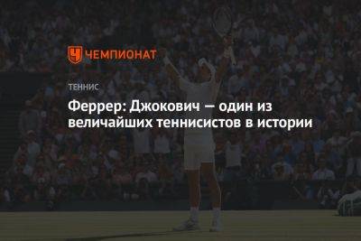 Джокович Новак - Феррер: Джокович — один из величайших теннисистов в истории - championat.com - США - Испания - Сербия