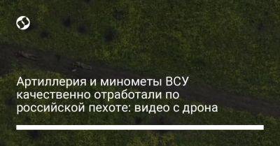 Александр Сырский - Артиллерия и минометы ВСУ качественно отработали по российской пехоте: видео с дрона - liga.net - Украина - Крым