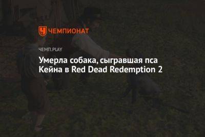 Умерла собака, сыгравшая пса Кейна в Red Dead Redemption 2 - championat.com