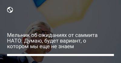 Андрей Мельник - Мельник об ожиданиях от саммита НАТО: Думаю, будет вариант, о котором мы еще не знаем - liga.net - Украина - Вильнюс