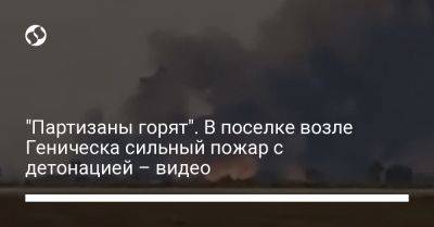 Николай Олещук - Петр Андрющенко - "Партизаны горят". В поселке возле Геническа сильный пожар с детонацией – видео - liga.net - Россия - Украина - Мариуполь - Геническ