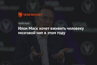 Илон Маск хочет вживить человеку мозговой чип в этом году - championat.com