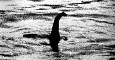 Выглядела зловеще: турист увидел "огромную темную фигуру" в озере Лох-Несс (фото) - focus.ua - Украина - Англия - Франция - Шотландия - Лион - Великобритания