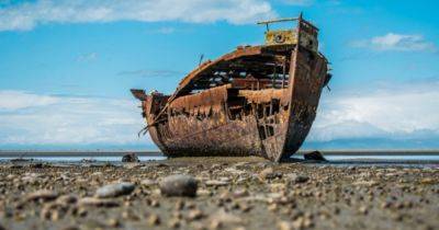 Скрытые сокровища: корабль-призрак появился спустя сотни лет после своего крушения (фото) - focus.ua - Украина - Англия - Находка - Великобритания