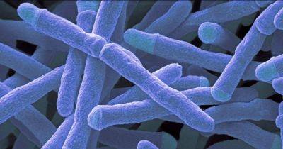Затаившаяся во рту: обнаружена распространенная бактерия, подпитывающая эндометриоз - focus.ua - Украина - Япония
