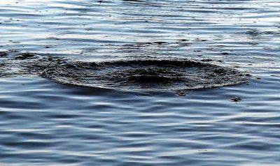 В пруду на Харьковщине, где погиб подросток, официально запрещено купаться - objectiv.tv - Первомайск - Первомайский