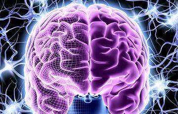 Ученые нашли способ омоложения мозга - charter97.org - Белоруссия