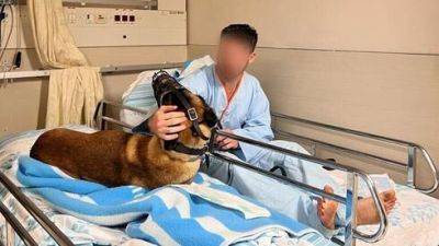 Раненых в операции ЦАХАЛа пса Даго и его инструктора лечат в больнице "Рамбам" - vesty.co.il - Израиль