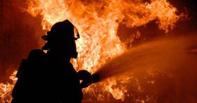 В Канаде бушует масштабный лесной пожар: уничтожены сотни домов - dsnews.ua - Украина - Канада - Шотландия