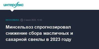 Дмитрий Патрушев - Минсельхоз спрогнозировал снижение сбора масличных и сахарной свеклы в 2023 году - smartmoney.one - Москва - Россия