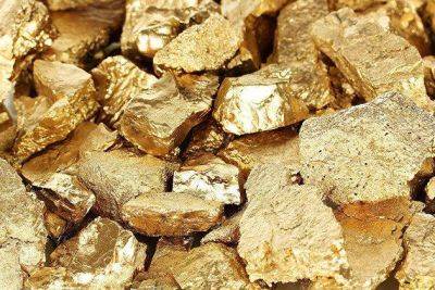 Минфин продал 2,594 миллиарда юаней и 3,86 тонны золота из ФНБ в мае - smartmoney.one - Москва - Россия