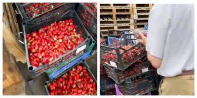 Цена на клубнику оказалась "неподъемной" для украинцев: десятки ящиков с ягодами выбросили, кадры - politeka.net - Украина