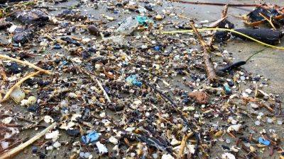 В мировом океане резко вырос объём микропластика - ru.euronews.com - штат Род-Айленд
