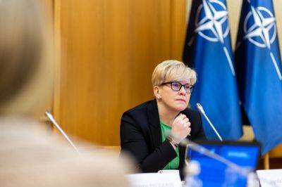 Ингрида Шимоните - Премьер Литвы: отсутствие ясного пути вступления в НАТО для Украины - опасный прецедент - obzor.lt - Россия - Украина - Литва - Вильнюс