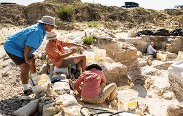 Ученые нашли окаменелости гомфотеров, которым 6 миллионов лет - charter97.org - Белоруссия - шт.Флорида
