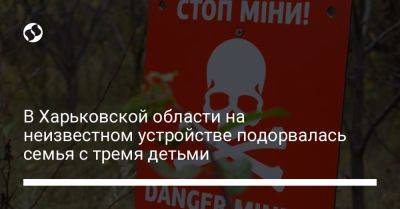 В Харьковской области на неизвестном устройстве подорвалась семья с тремя детьми - liga.net - Украина - Харьковская обл. - район Богодуховский - Гсчс