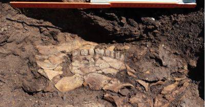 Стоянки древних людей возрастом 700 тысяч лет: обнаружены удивительные находки времен палеолита (фото) - focus.ua - Украина - Греция
