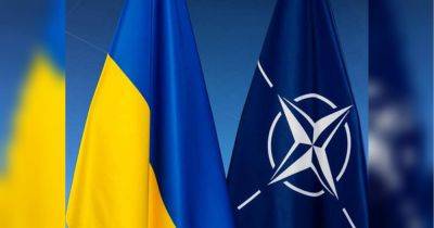 «Это не должны быть просто слова»: шведский депутат про гарантии Украине членства в НАТО - fakty.ua - Украина - Германия - Эстония - Швеция - Вильнюс