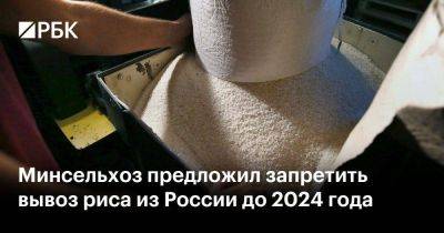 Минсельхоз предложил запретить вывоз риса из России до 2024 года - smartmoney.one - Россия - Краснодарский край - Армения - Казахстан - Белоруссия - Киргизия - Апсны - респ. Южная Осетия