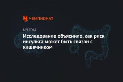 Исследование объяснило, как риск инсульта может быть связан с кишечником - championat.com - Швеция