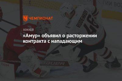 Игорь Руденков - «Амур» объявил о расторжении контракта с нападающим - championat.com - Сочи