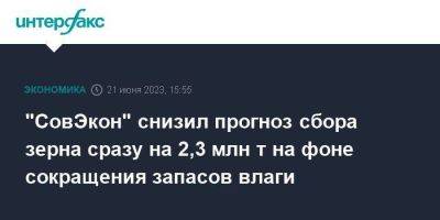 "СовЭкон" снизил прогноз сбора зерна сразу на 2,3 млн т на фоне сокращения запасов влаги - smartmoney.one - Москва - Россия