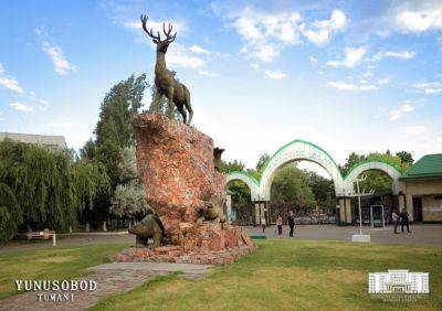 В Ташкентском зоопарке появится светомузыкальный фонтан - podrobno.uz - Узбекистан - Ташкент
