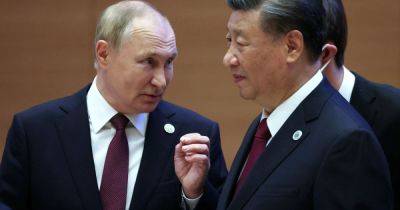 Владимир Путин - Питер Стано - Спикер Евросоюза рассказал о настоящей позиции Китая по отношению к России - dsnews.ua - Москва - Россия - Китай - Украина